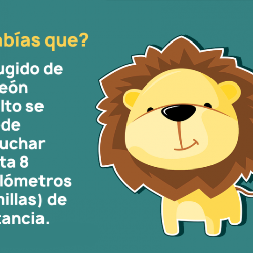 Sabias que 1