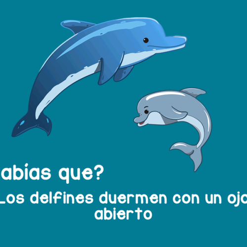 sabias que 2